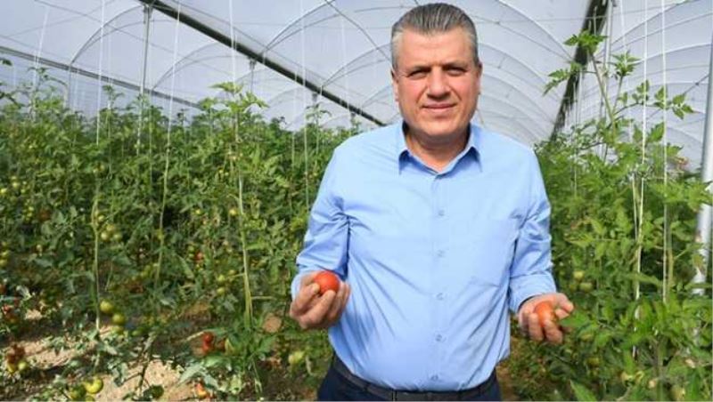 Ayhan Barut, domates üreticisine çare istedi