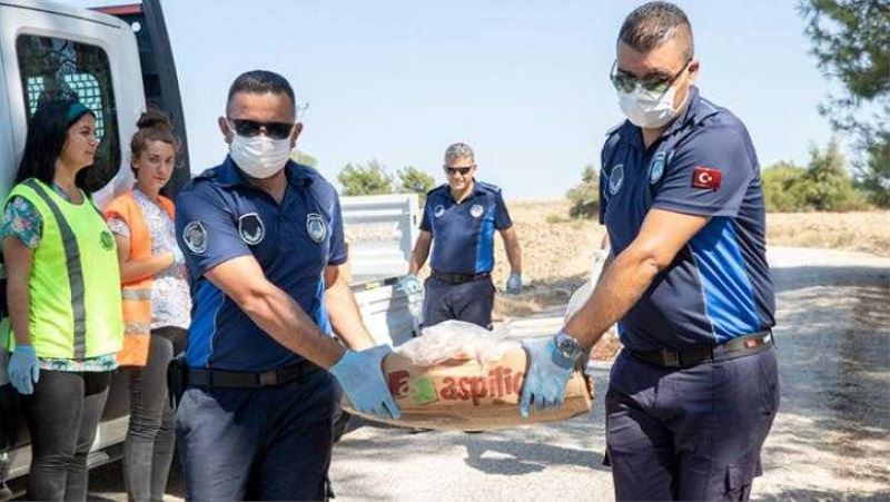 Seyhan Belediyesi hayvanlara da yardım elini uzattı...