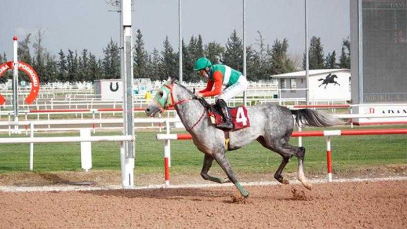 Seyhan Belediye Başkanlığı Koşusu, Oğuzboylu’nun