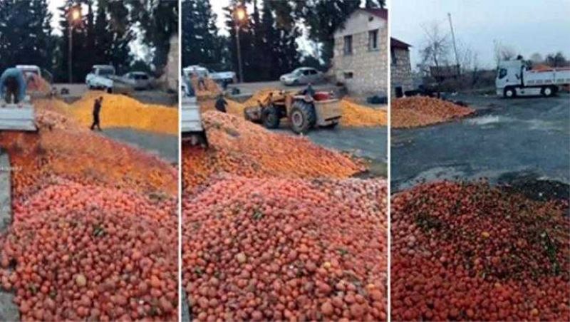 Çürük portakalları meyve suyu yaptılar...